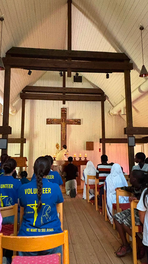 voluntarios catolicos en suecia